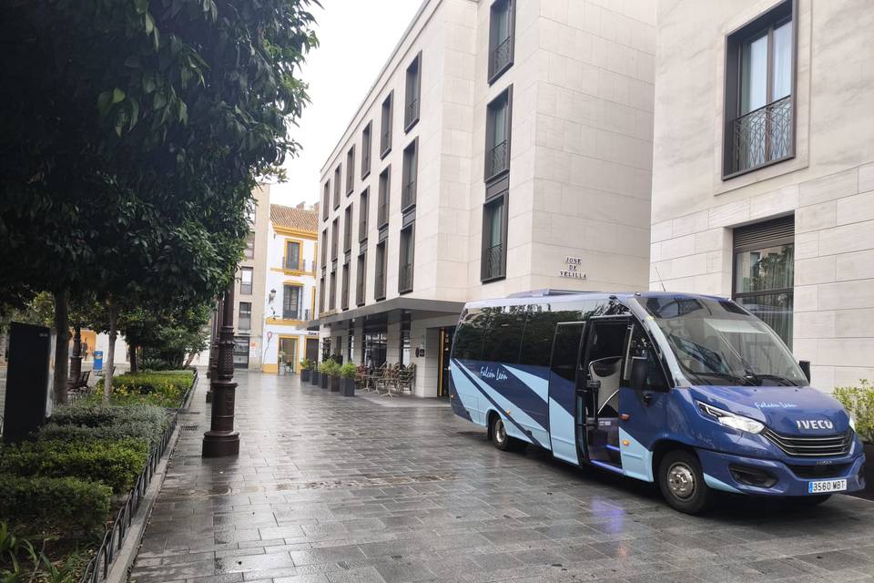 Falcón León