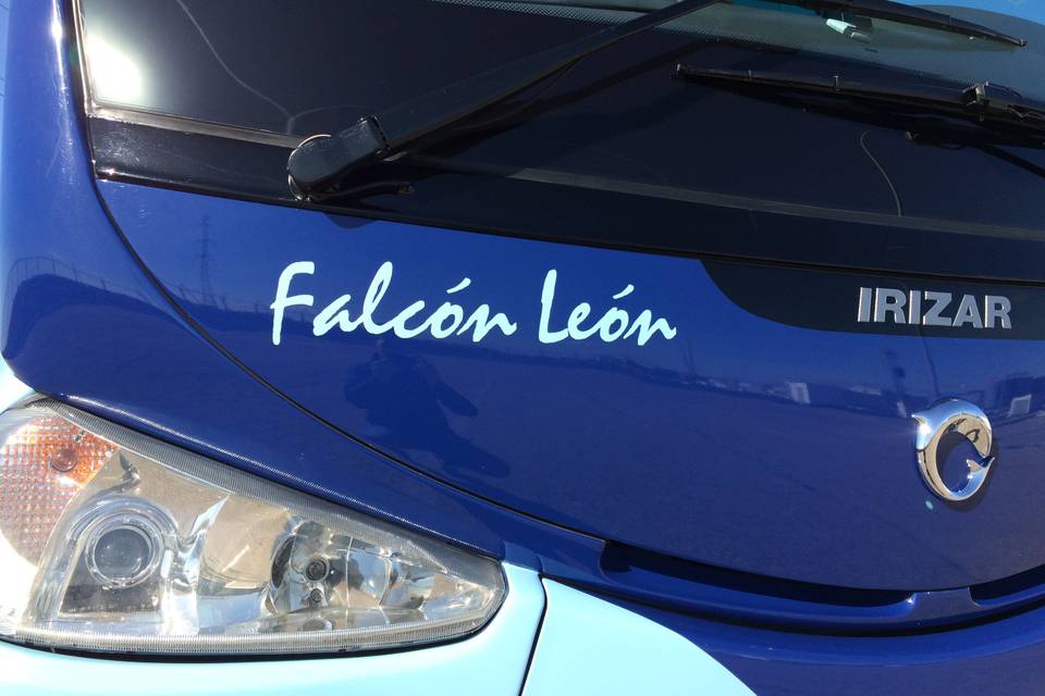 Falcón León