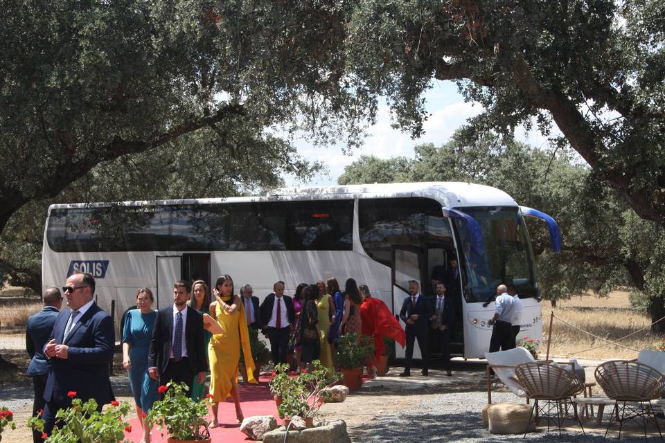 Invitados llegando en autobús