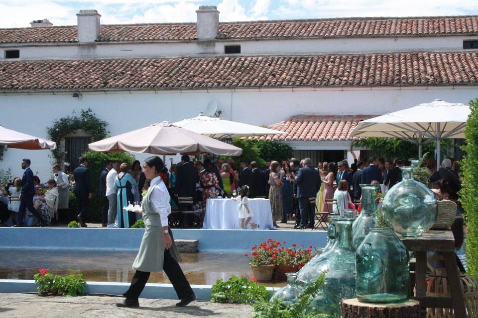 Aperitivo en la rosaleda