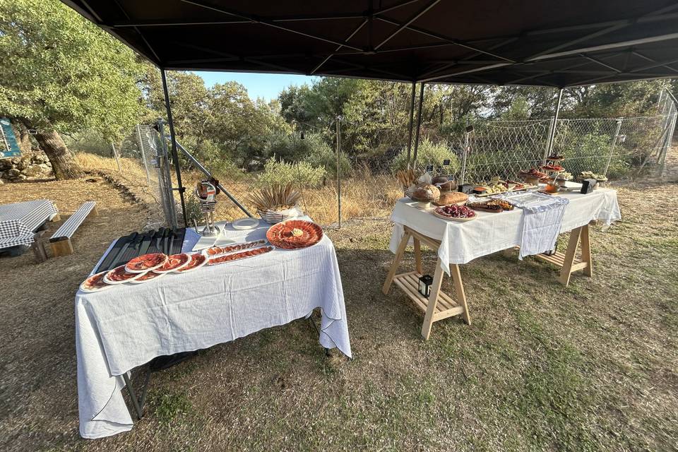 Mesa de quesos y jamón