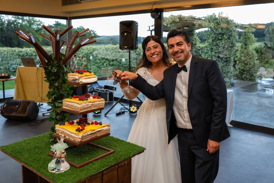 Fiesta, pastel