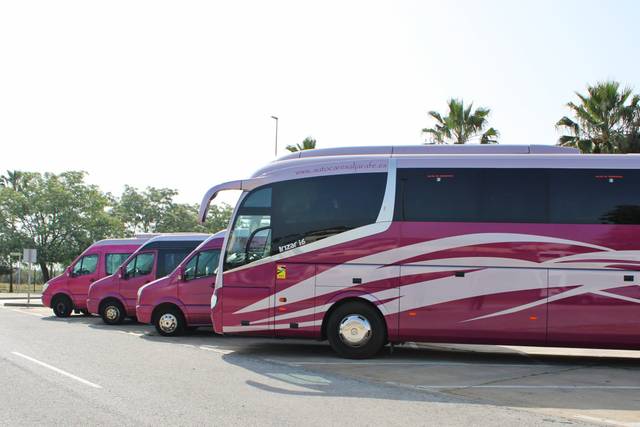Microbuses y autobuses