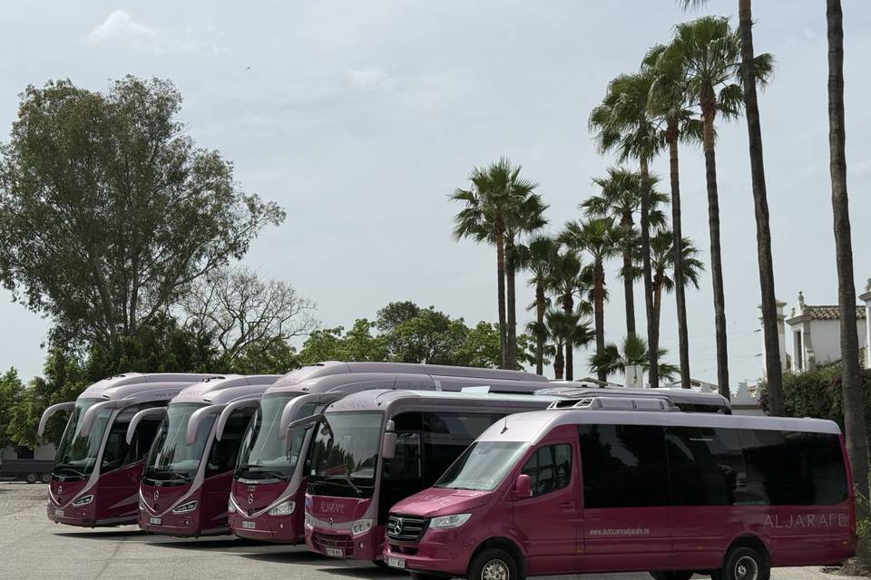 Servicio de boda en el Vizir
