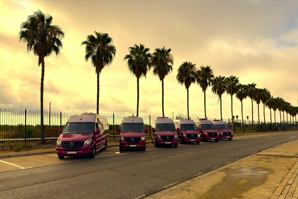 Microbuses Mercedes