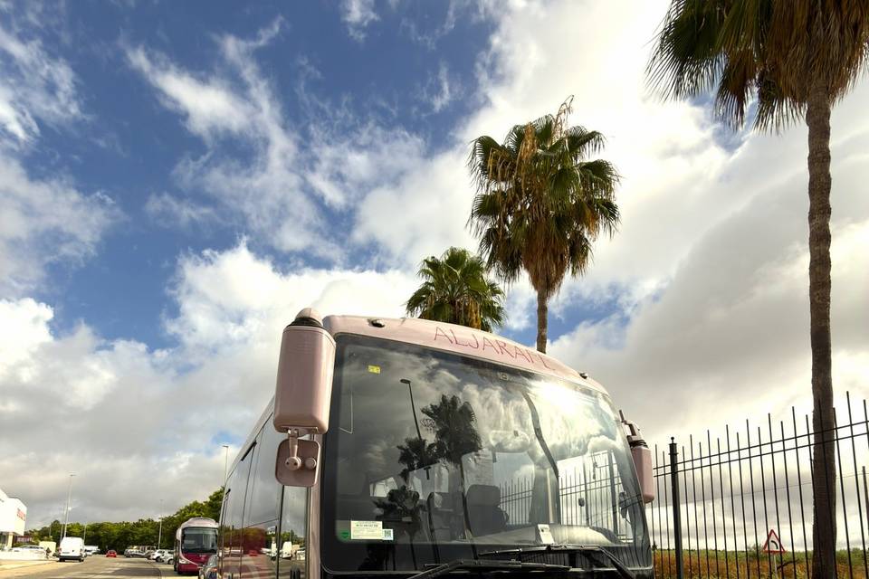 Bus 29 plazas