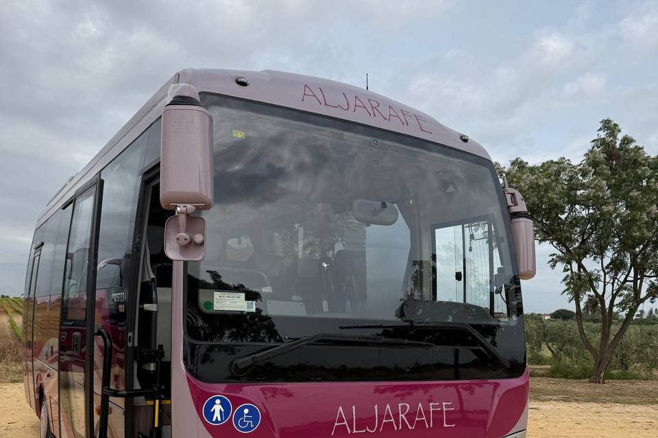 Vehículo 29 plazas