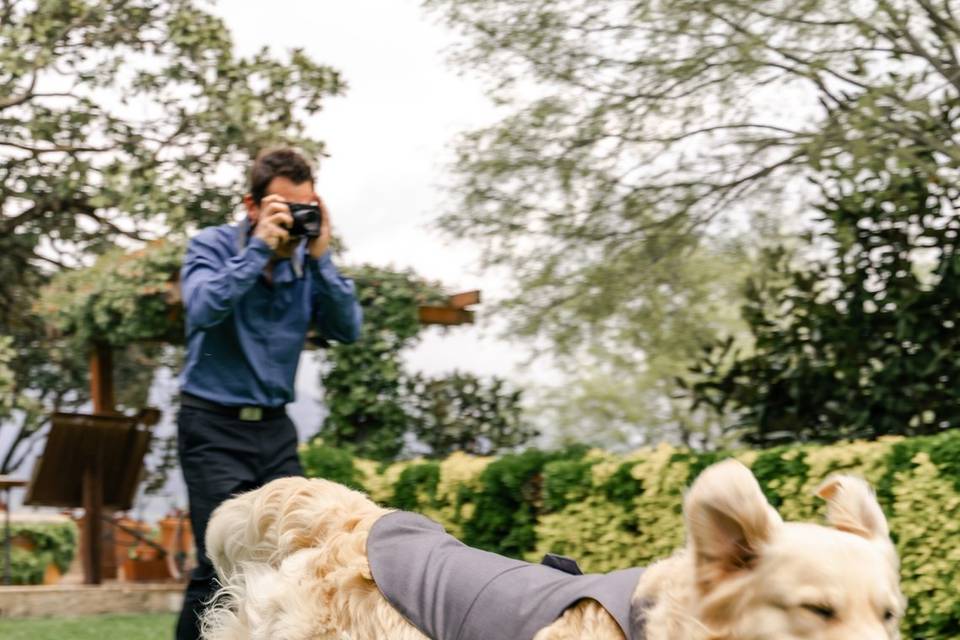 Lacomaphoto