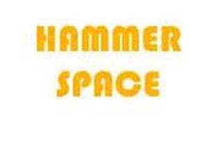 Hammer Space logotipo