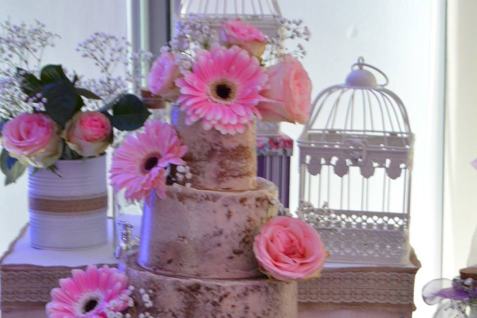 Naked Cake