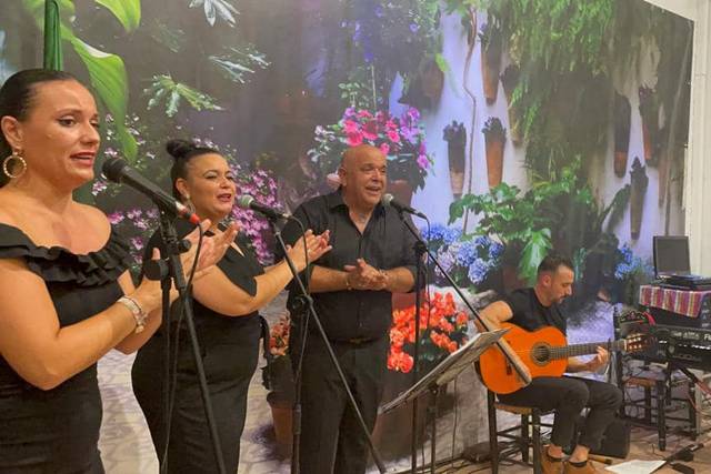 Amenización de bodas