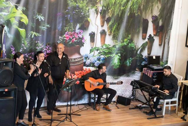 Concierto en directo
