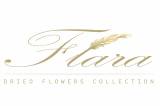 Flara Collection