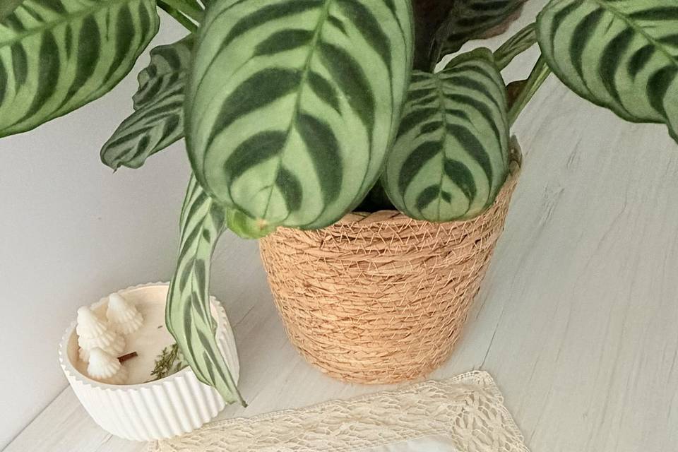 Los Bordados de Martha