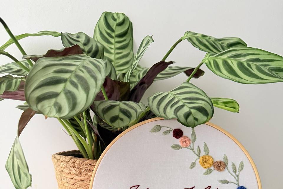 Los Bordados de Martha