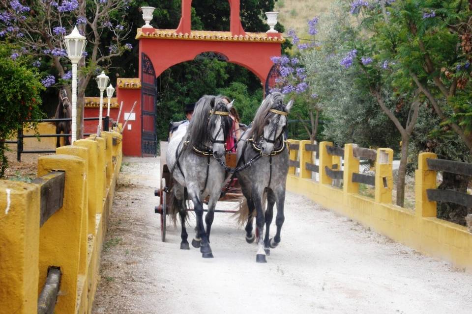 Hacienda Moreno - Alabardero Catering