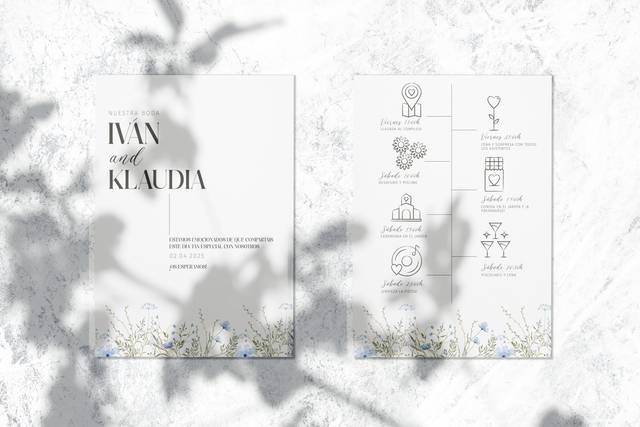DL Diseño
