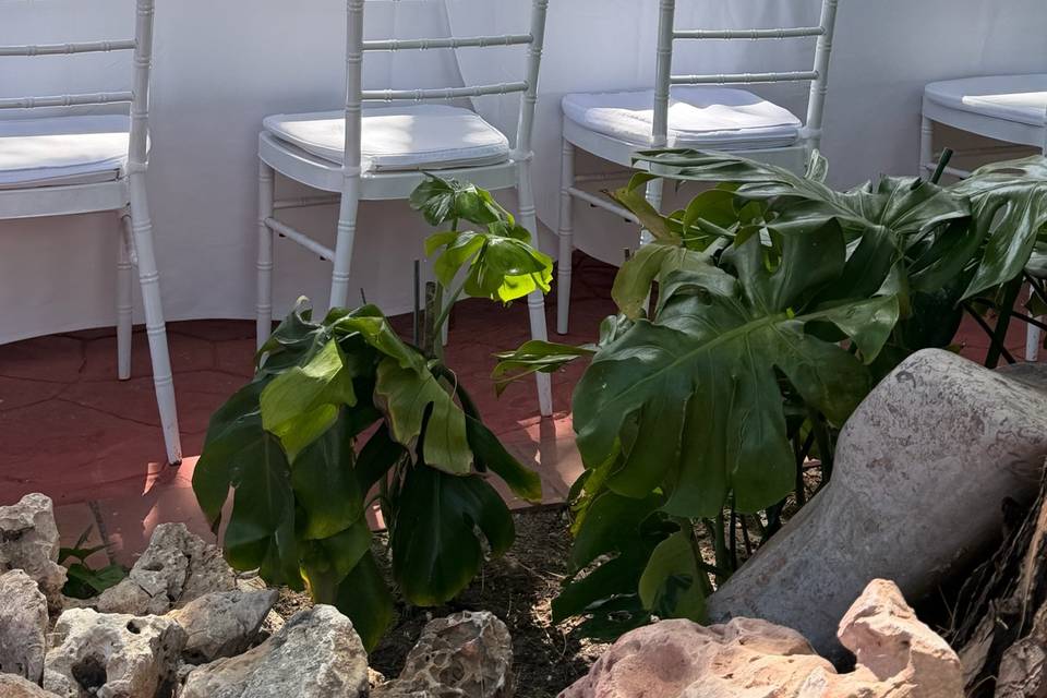 Detalles
