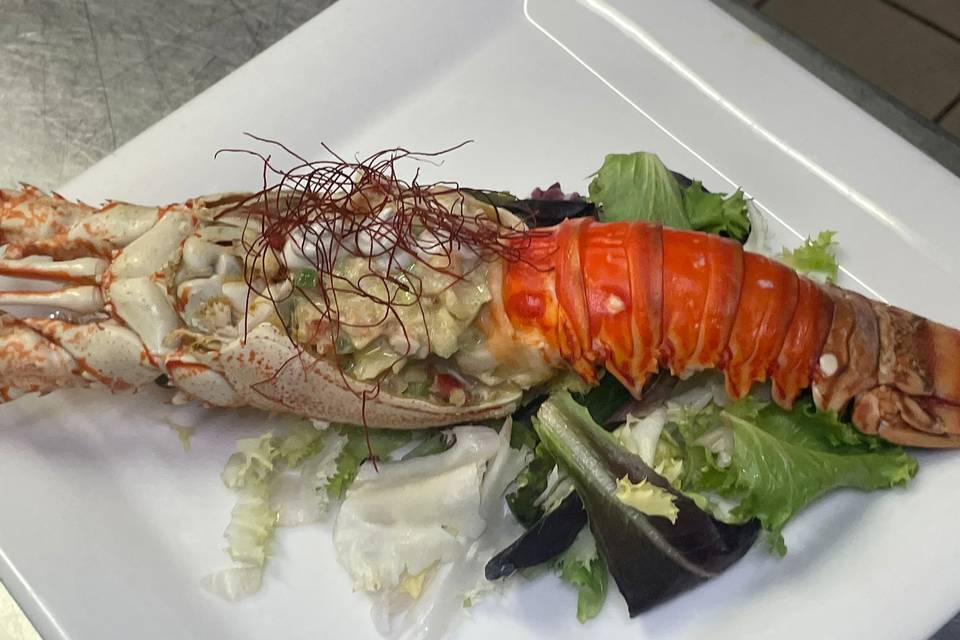 Langosta