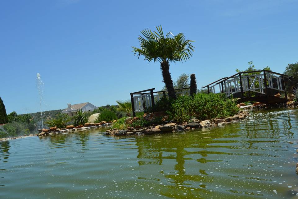 El llano