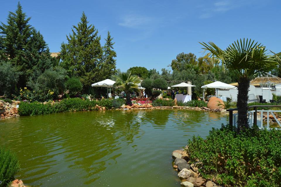 El llano