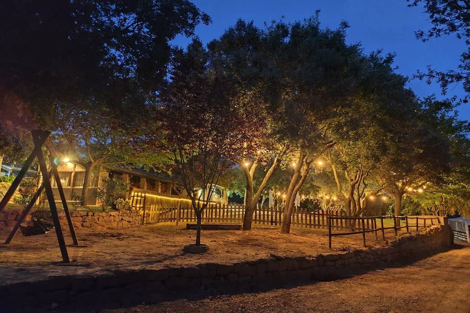 Nit de celebació