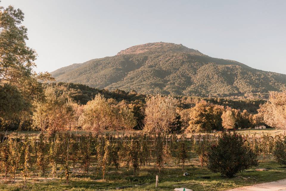 Finca Bodega Huellas del Tiétar