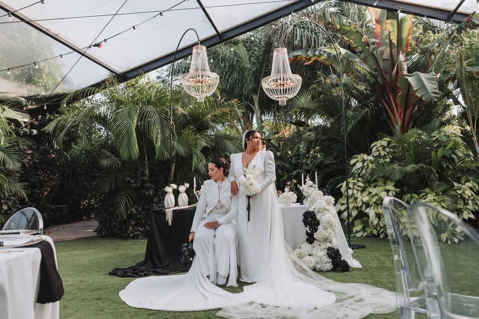 Novias