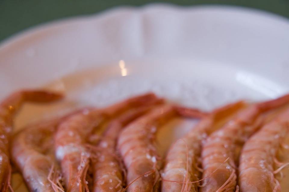 NIUESTRAS GAMBAS