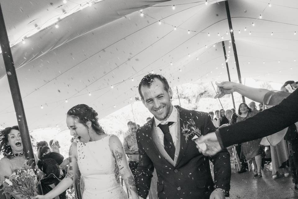 Hegan Wedding Planner