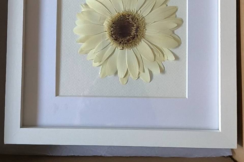Bloom Memories