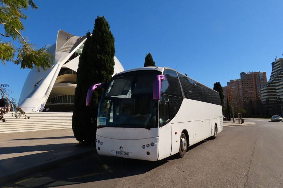 55 plazas Artes y ciencias