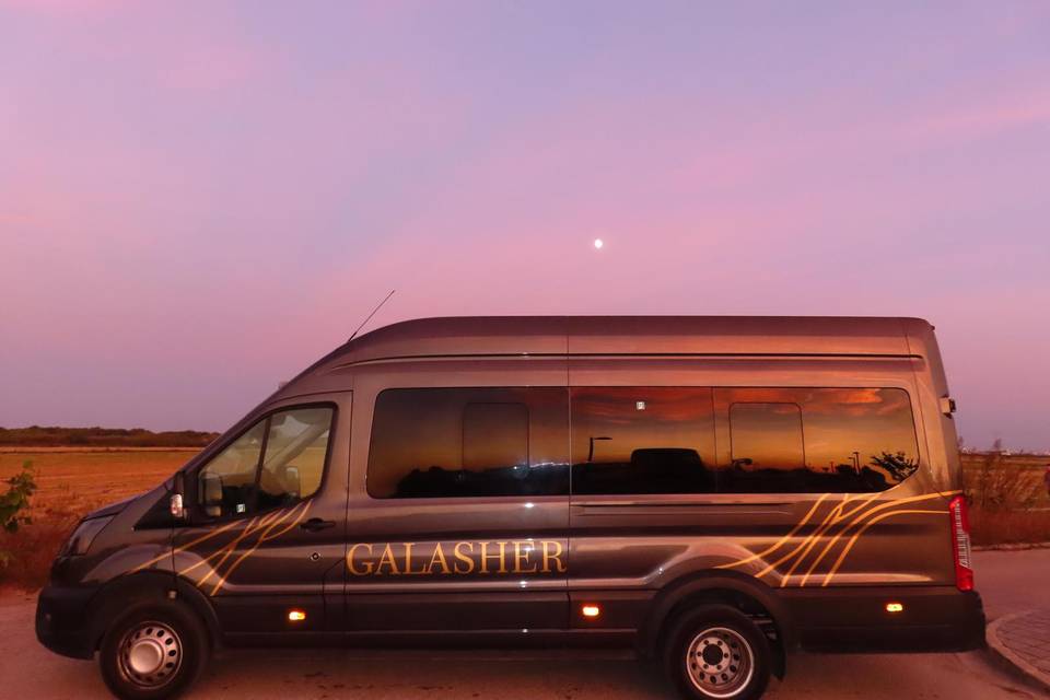 17 px VIP
