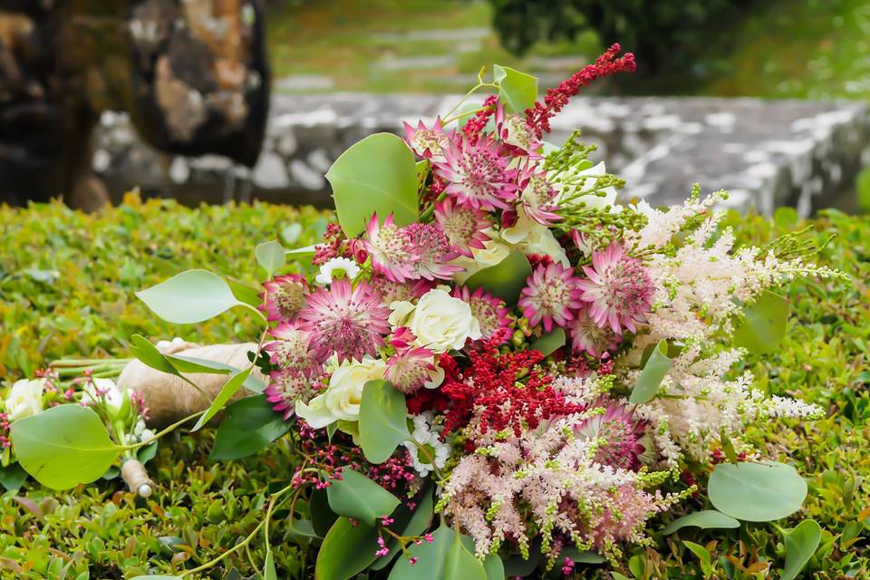 Silvestre astilbe y astrantia