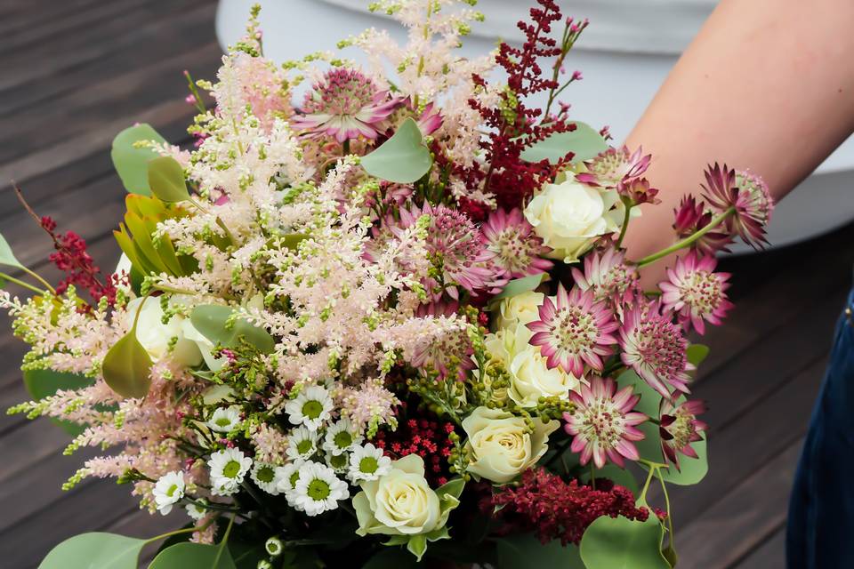 Silvestre astilbe y astrantia