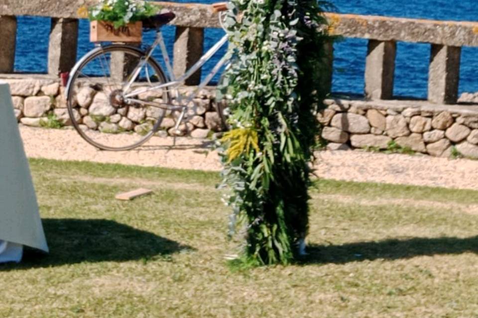 Flores MyM
