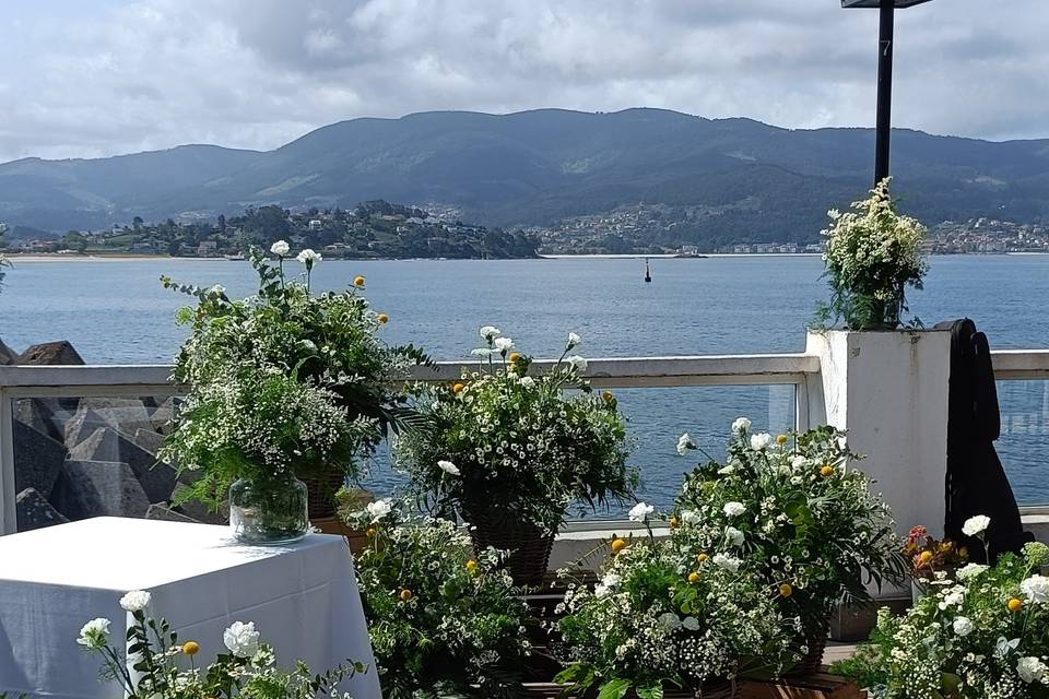 Flores MyM