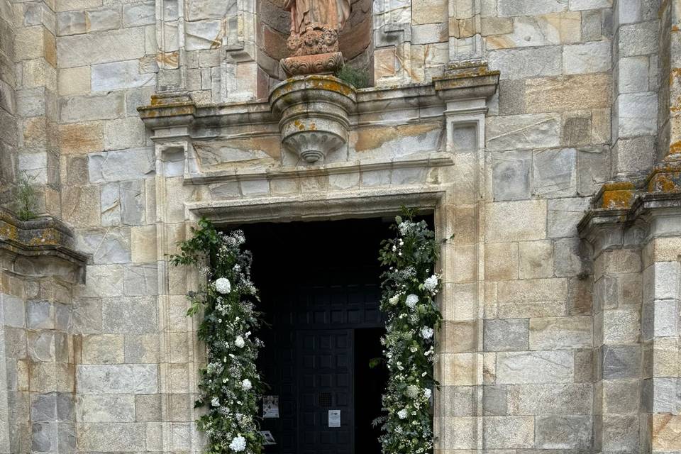 Flores MyM
