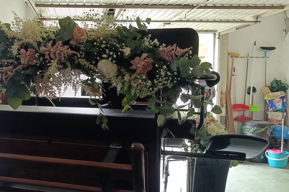 Flores MyM