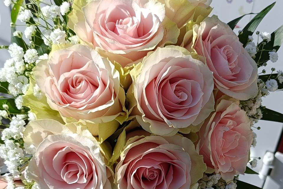 Flores MyM