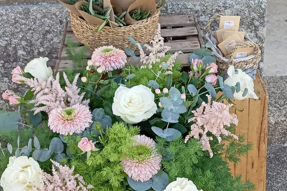 Flores MyM