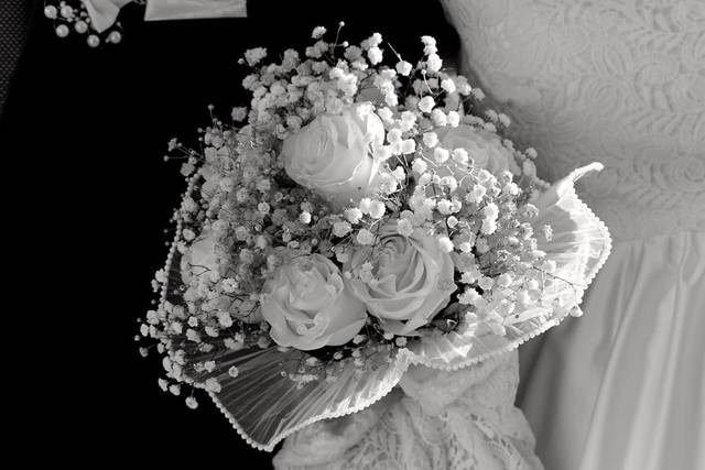 Gustavo N. Photography