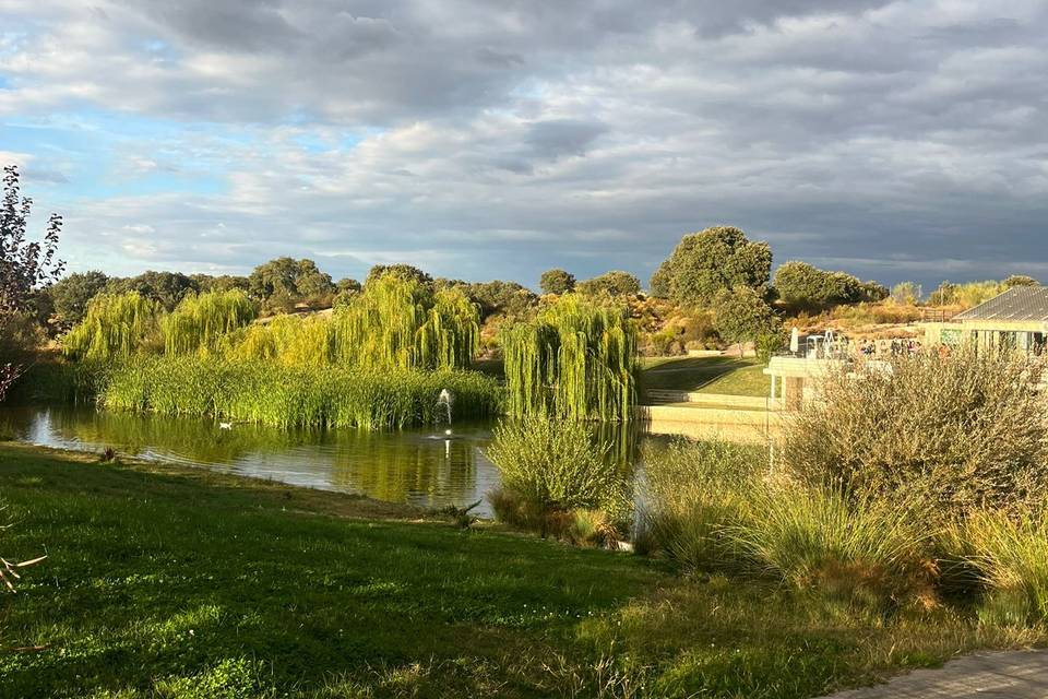 Lago