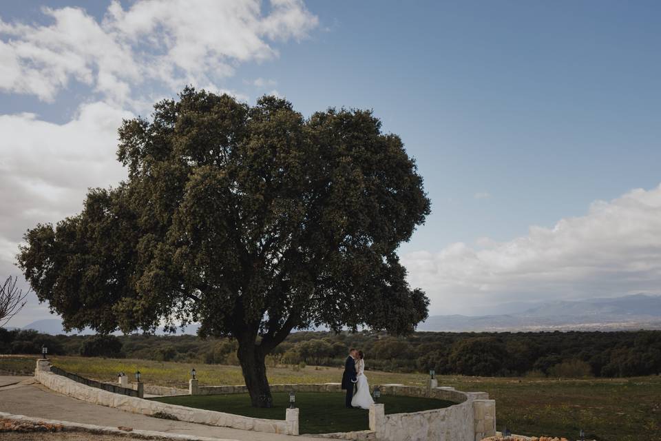 Finca Valdetrigos