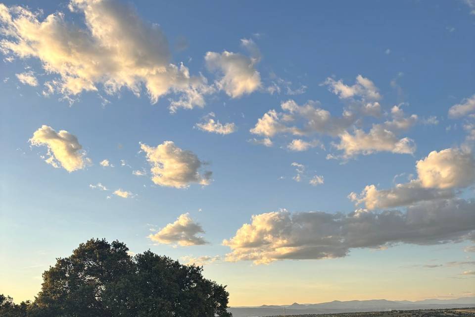 Ceremonia en la encina