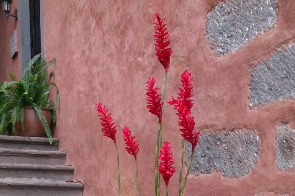 Floristería Heliconia