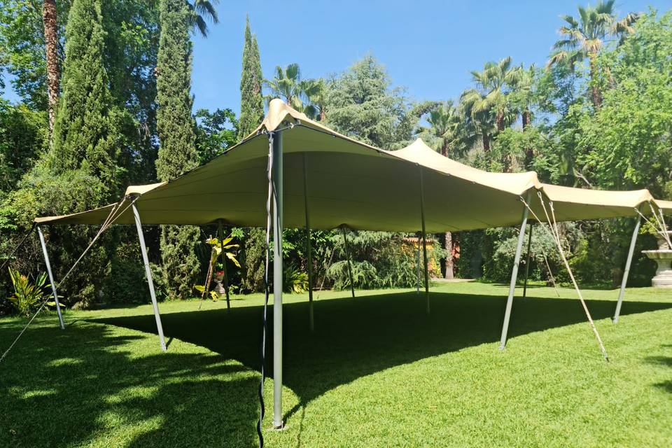 Carpas