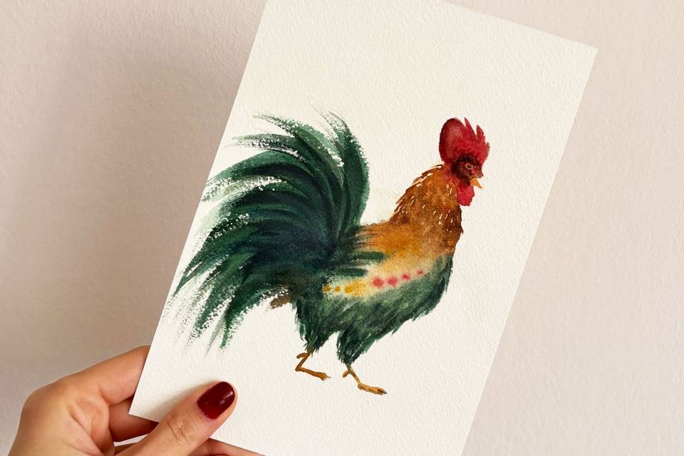 Acuarela gallo