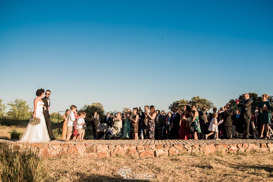 Entrada de la novia