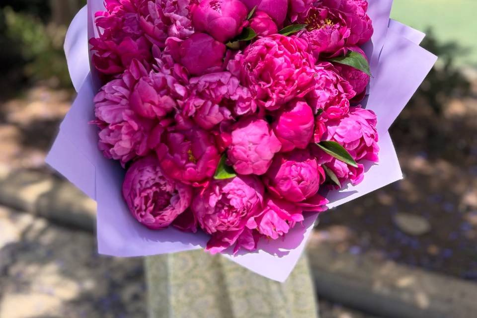 Todo al rosa